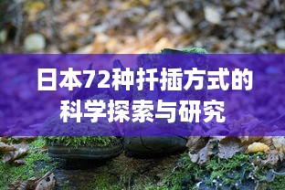 日本72种扦插方式的科学探索与研究