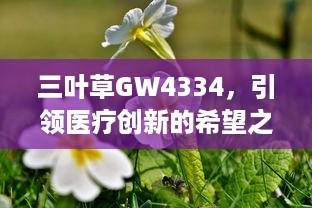 三叶草GW4334，引领医疗创新的希望之花