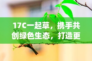 17C一起草，携手共创绿色生态，打造更加美好的环境