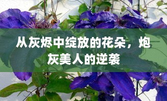 从灰烬中绽放的花朵，炮灰美人的逆袭