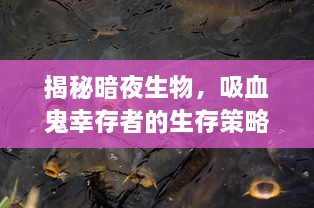 揭秘暗夜生物，吸血鬼幸存者的生存策略与合成表