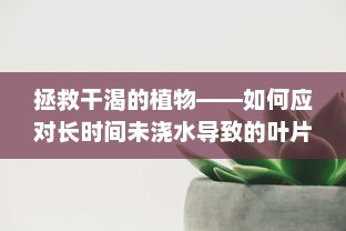 拯救干渴的植物——如何应对长时间未浇水导致的叶片褪绿问题