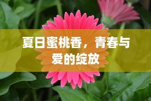 夏日蜜桃香，青春与爱的绽放