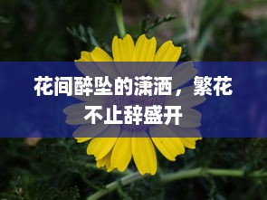 花间醉坠的潇洒，繁花不止辞盛开